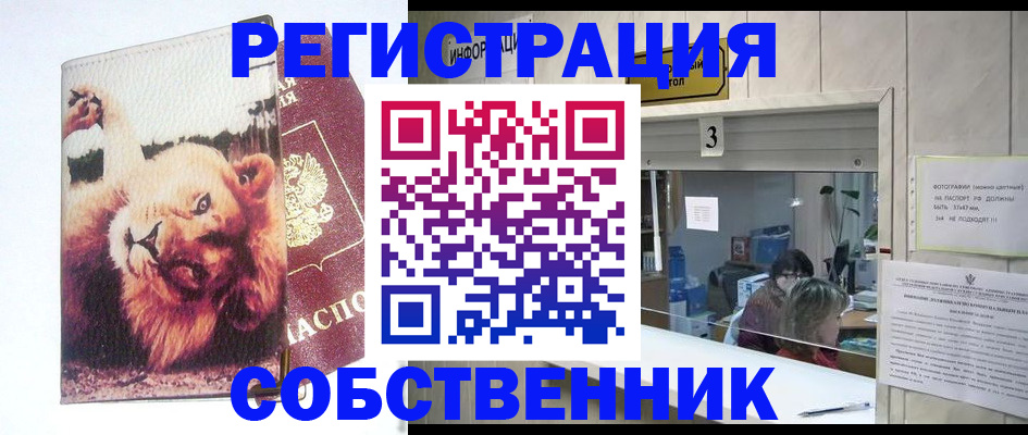 прописка поиск в Обнинске